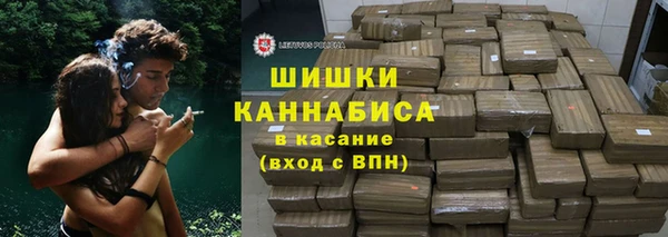 PSILOCYBIN Алзамай